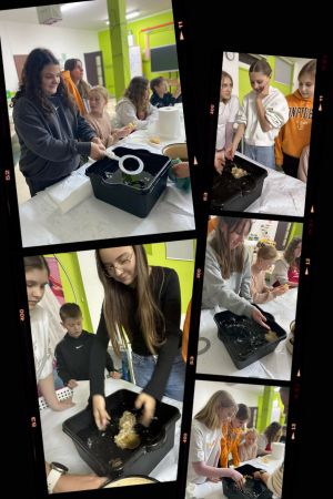 20251201 185653 COLLAGE