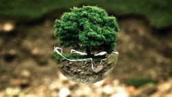 environmental